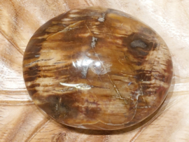 Versteend hout handsteen