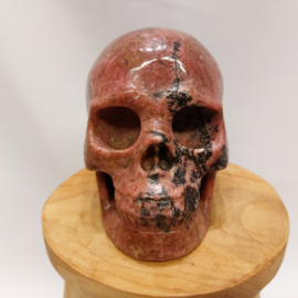 Rhodoniet human skull