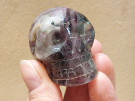 Fluoriet human skull