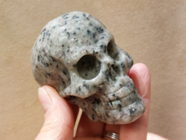 Kiwi jaspis human skull
