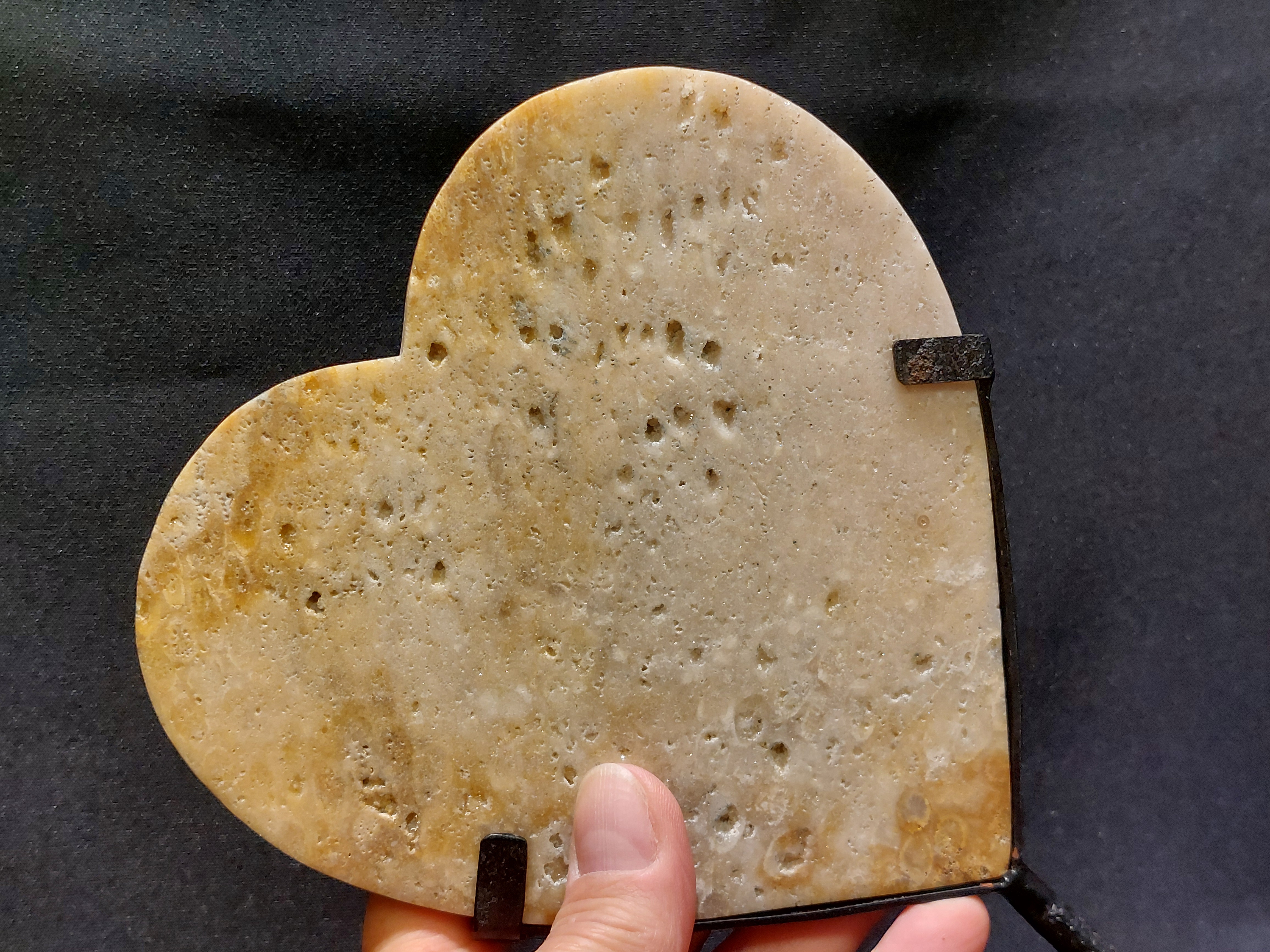 Fossiel koraal hart uit Indonesië