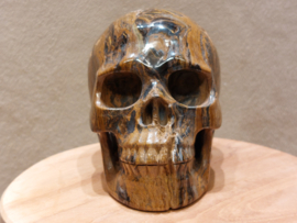 Tijgerijzer human skull