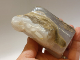 Versteend hout in chalcedoon uit Indonesie