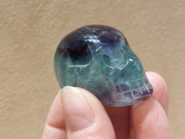 Fluoriet human skull