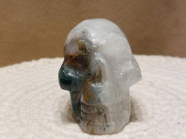 Mosagaat human skull