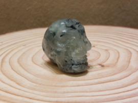 Prehniet human skull