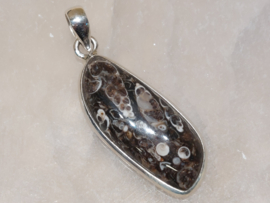 Turitella agaat hanger in zilver
