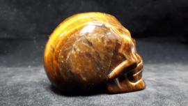 Tijgeroog human skull