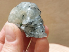 Prehniet human skull
