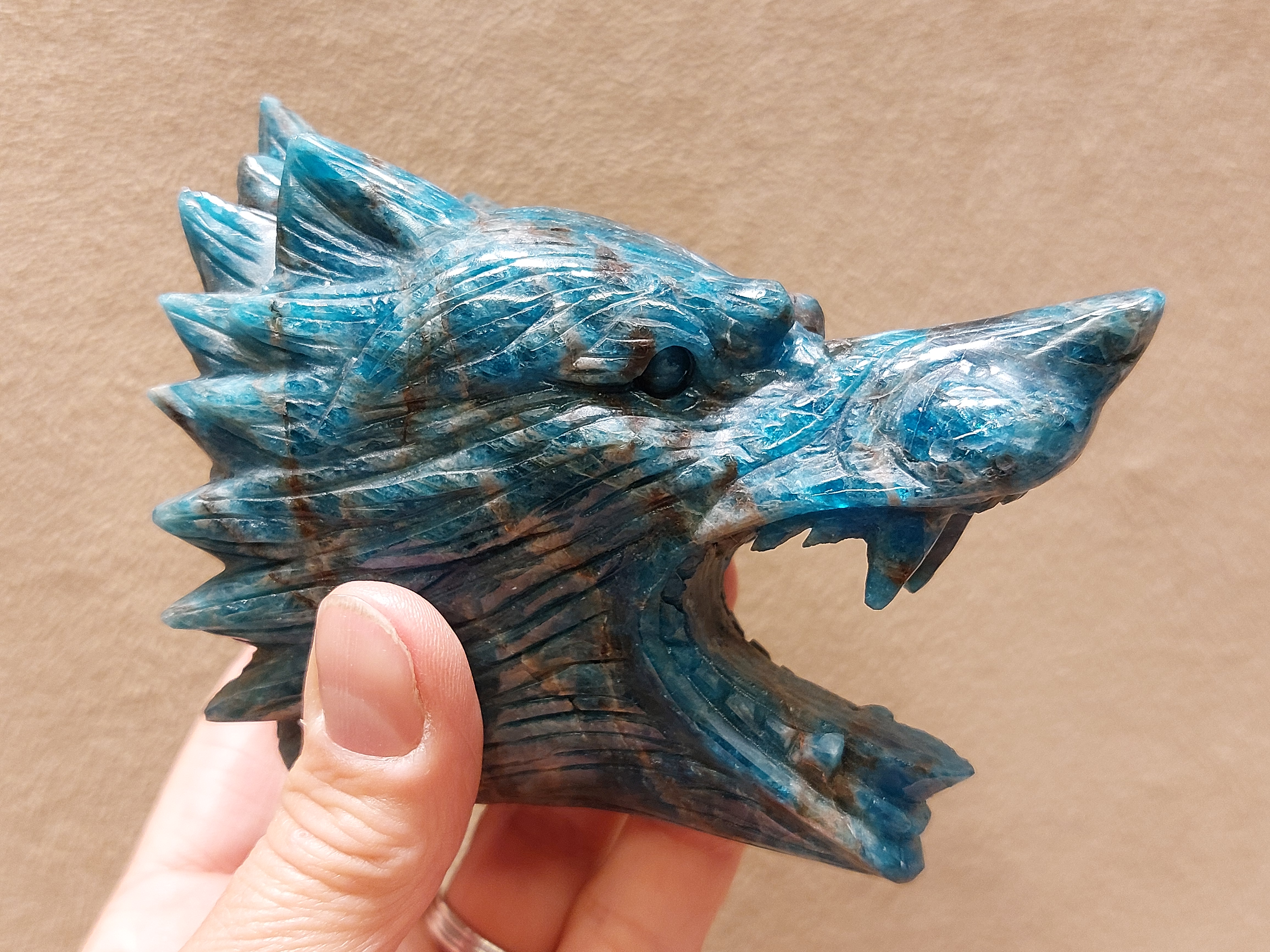 Apatiet wolf