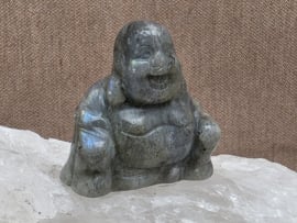 Labradoriet boeddha