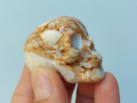 Chocolade calciet/aragoniet human skulls set