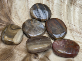Versteend hout platte steen