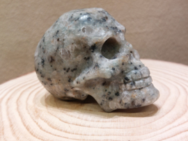 Kiwi jaspis human skull