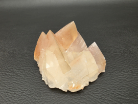 Mariposa calciet uit Mexico