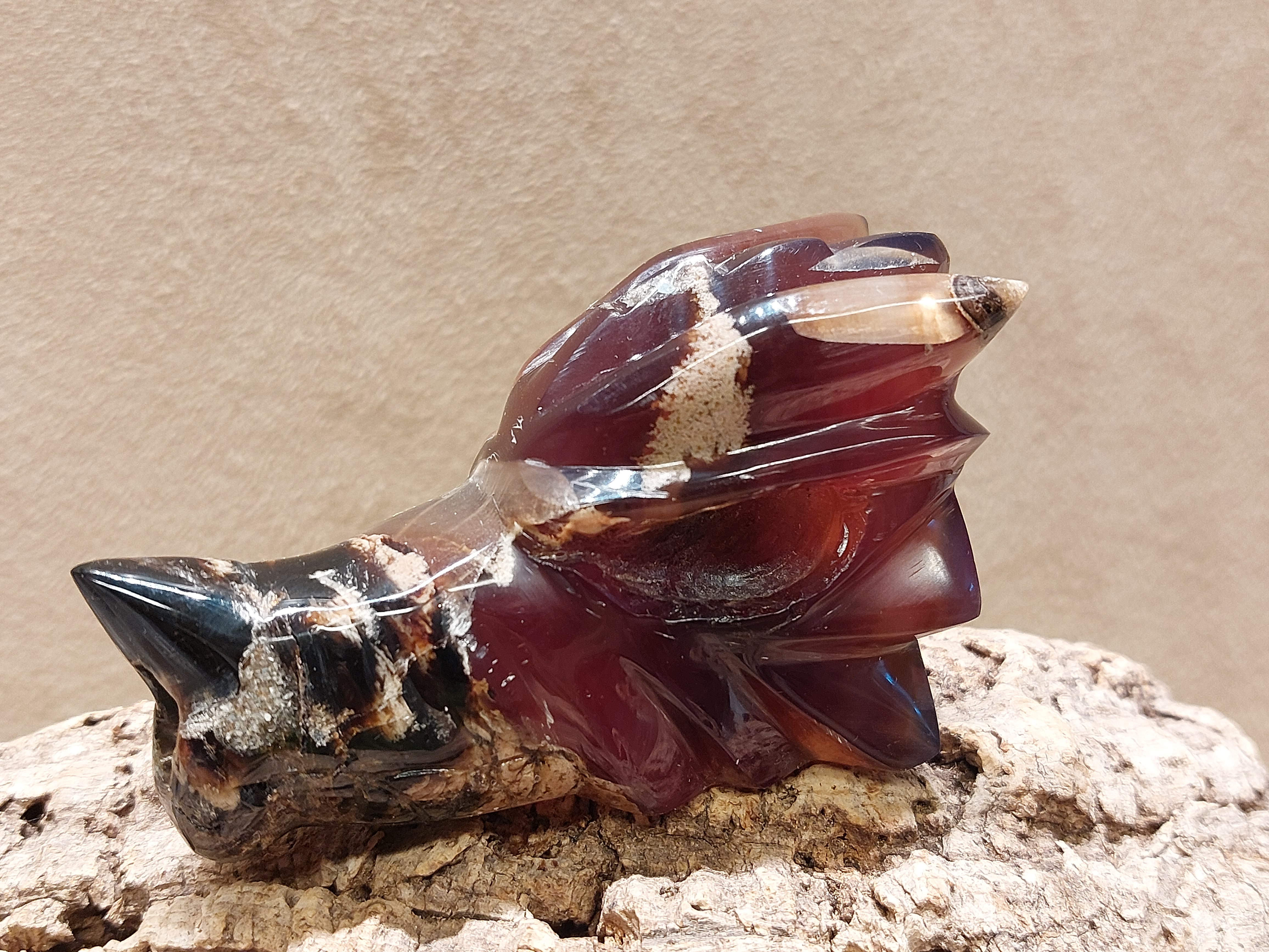 Blauwe amber draak