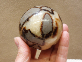 Septarie bol