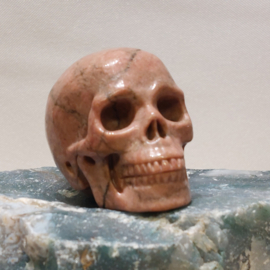 Rhodoniet human skull