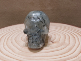 Prehniet human skull