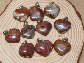 Versteend hout hanger hart