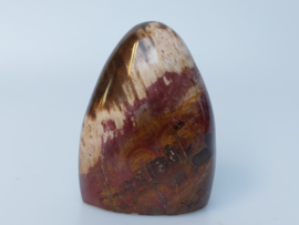 Versteend hout sculptuur