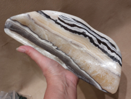 Zebra calciet schaal