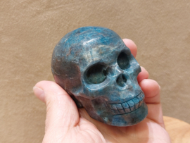 Apatiet human skull