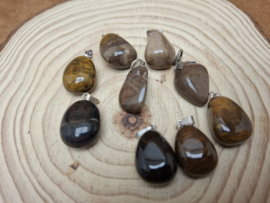 Versteend hout hanger