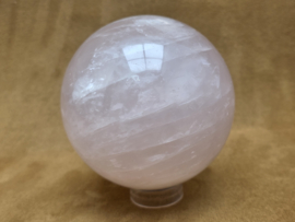 Rozenkwarts bol 10 cm