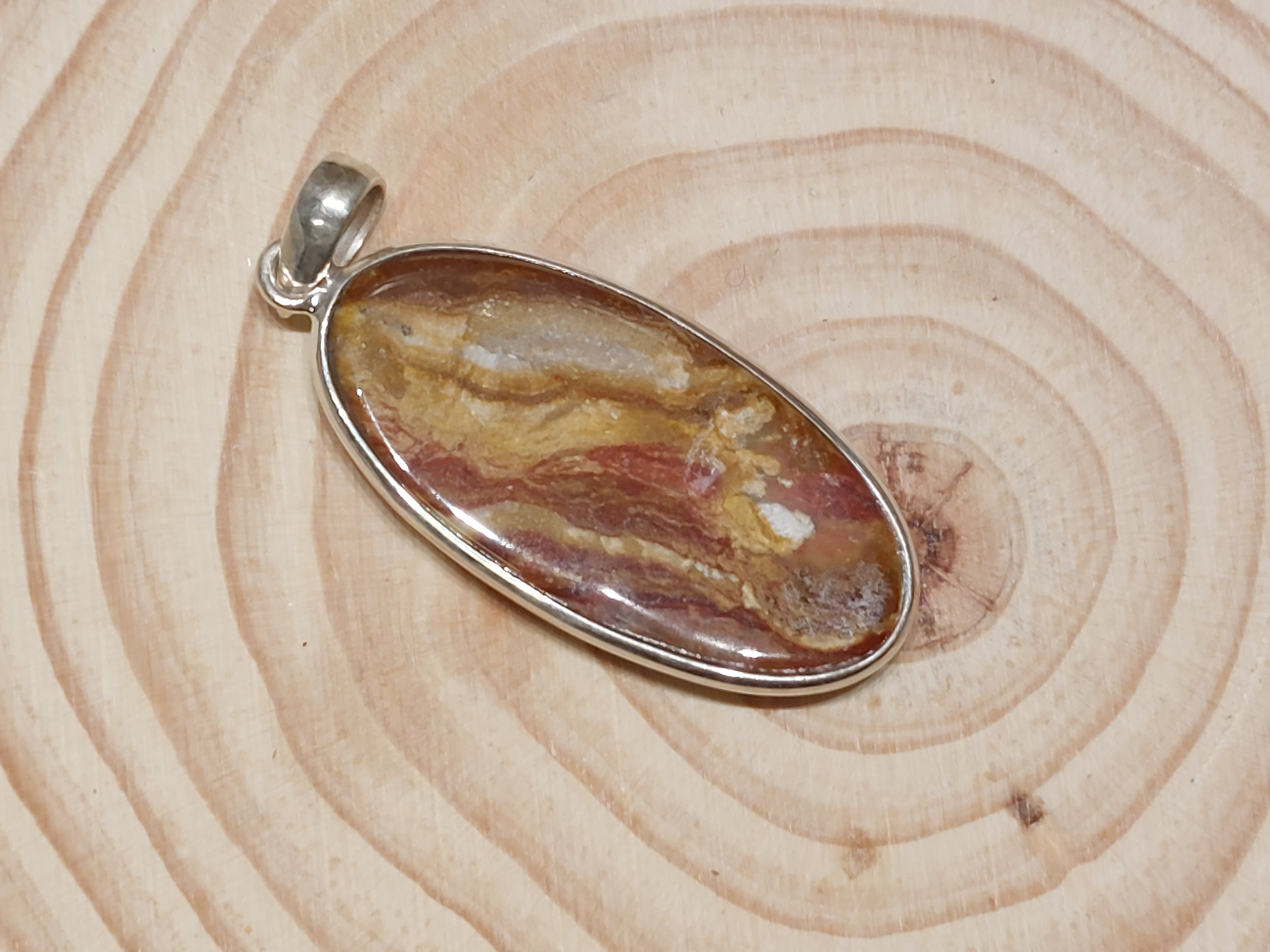Versteend hout hanger in zilver