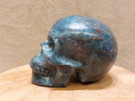Apatiet human skull