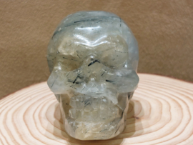 Prehniet human skull