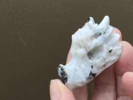 Regenboog maansteen draak