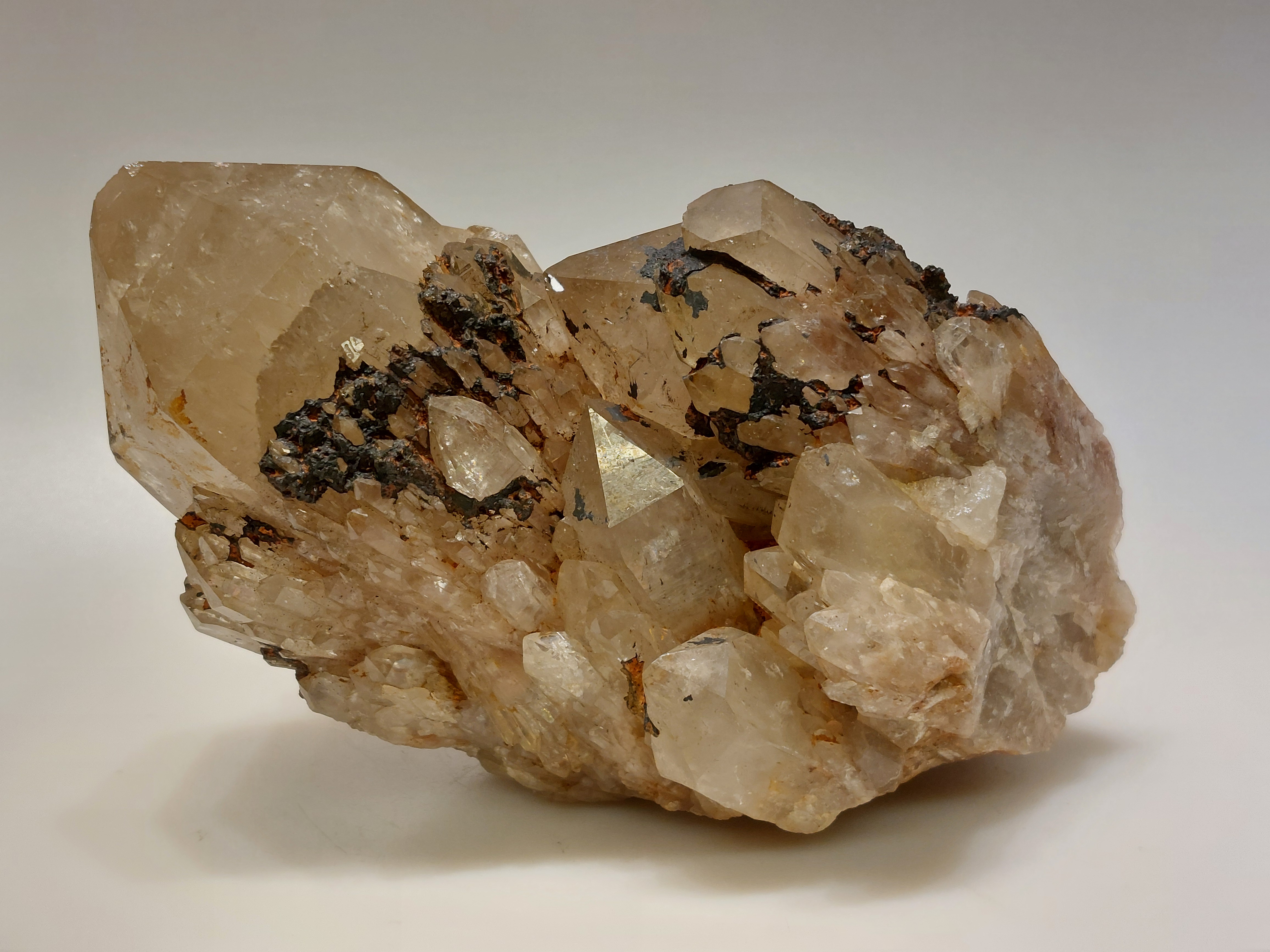 Kundalini citrien cluster uit Congo