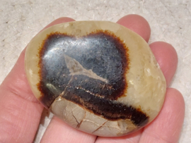 Septarie handsteen