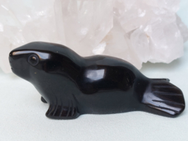 Goud obsidiaan zeehond