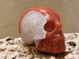 Carneool human skull
