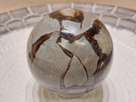 Septarie bol