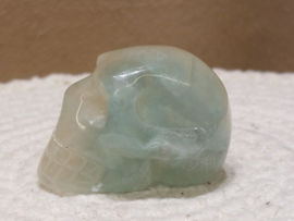 Fluoriet human skull