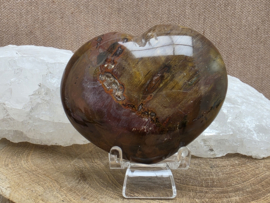 Versteend hout hart