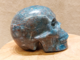 Apatiet human skull