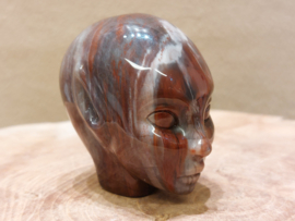 Versteend hout elfen being