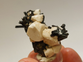 Aegirien cluster