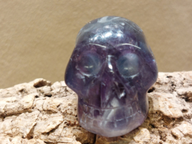 Fluoriet human skull