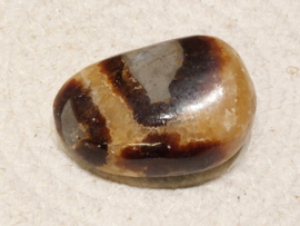 Septarie handsteen