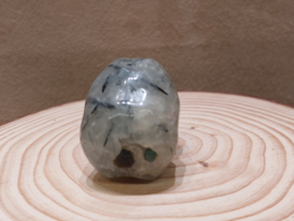 Prehniet human skull