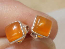 Carneool oorbellen in zilver