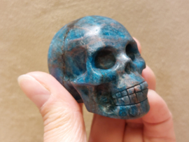 Apatiet human skull