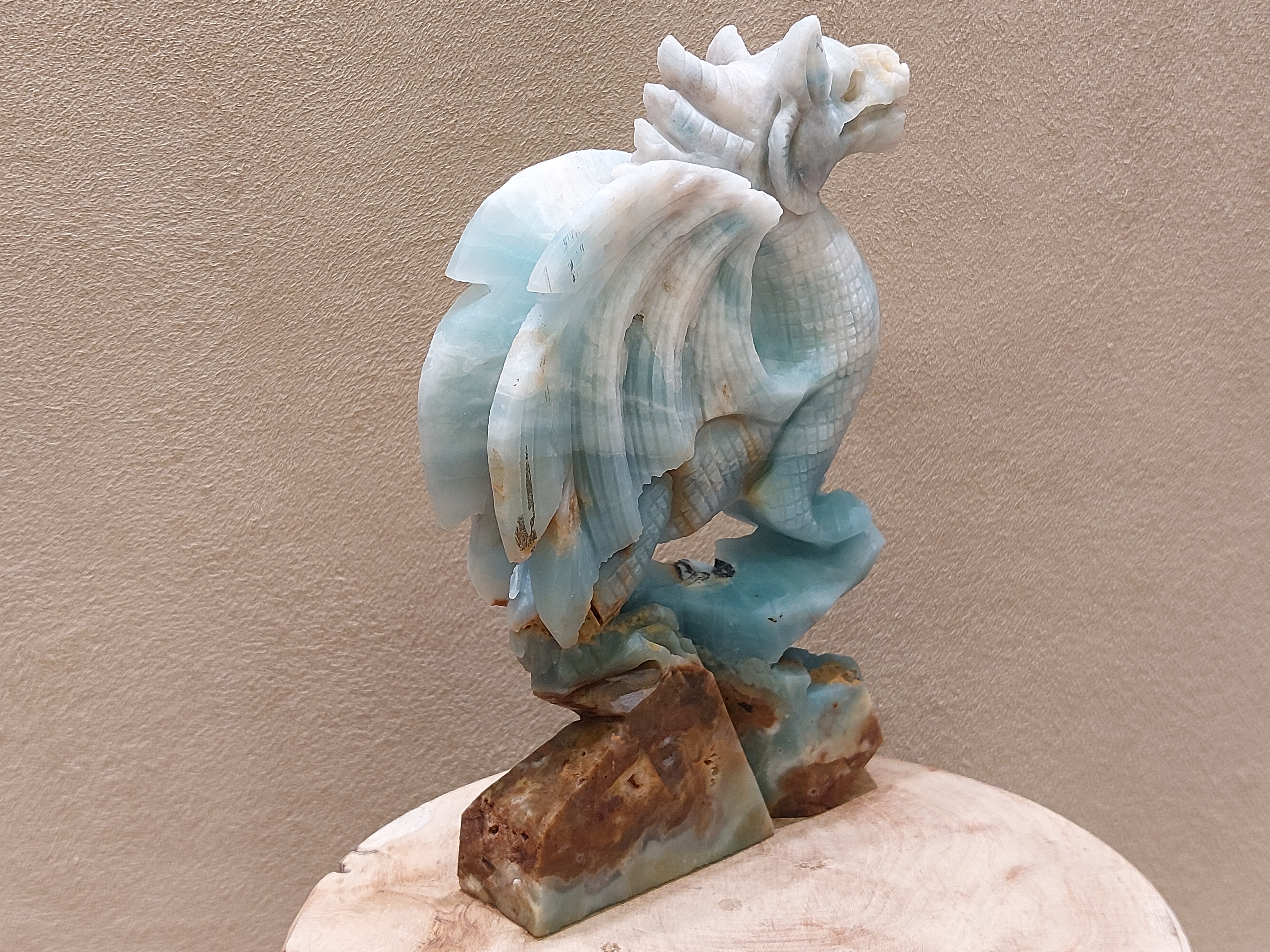 Blue carribean calciet draak full body