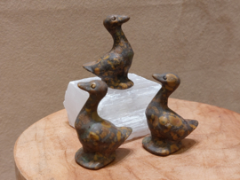 Rhyoliet of regenwoud jaspis gans
